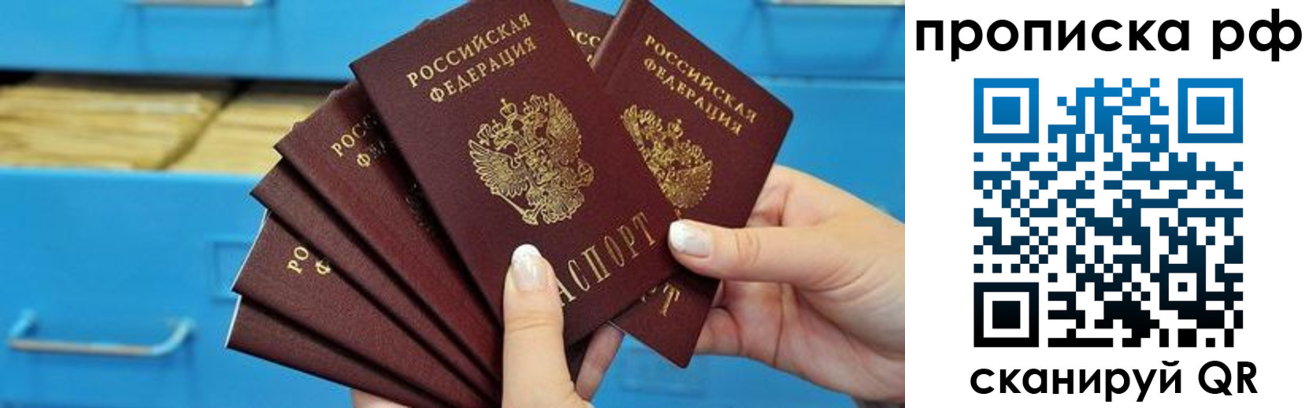 прописка поиск в Тихорецке